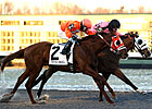 Lots of Ways to Go in Turfway's WEBN Stakes Lots of Ways to Go in Turfway's WEBN Stakes