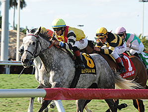 Inimitable Romanee Gets Gulfstream Distance Inimitable Romanee Gets Gulfstream Distance