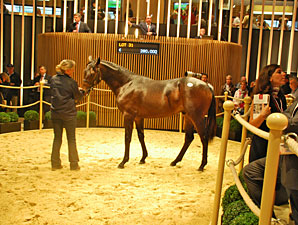 Invincible Spirit Colt Leads Way at Deauville Invincible Spirit Colt Leads Way at Deauville