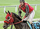 Inside Track: Galloping Grandmother