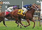 Inspired Goes for Sixth Stakes Win of 2012