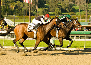 Santa Monica Upset Cheers Underdogs Santa Monica Upset Cheers Underdogs