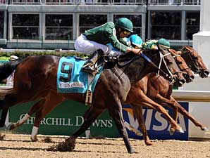 Intangaroo Faces Tough Field in A Gleam Intangaroo Faces Tough Field in A Gleam