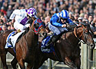 Focus Prevails in Dewhurst Thriller Focus Prevails in Dewhurst Thriller