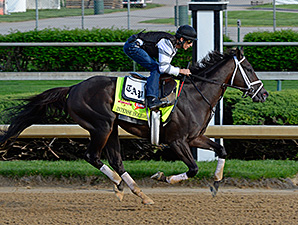 Intense Holiday is Pletcher's Standout Intense Holiday is Pletcher's Standout