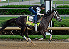 Intense Holiday is Pletcher's Standout Intense Holiday is Pletcher's Standout