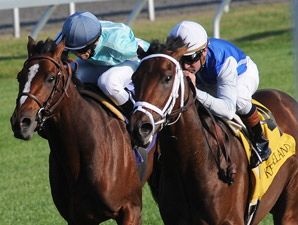 Interactif Sweeps to Impressive Bourbon Score Interactif Sweeps to Impressive Bourbon Score
