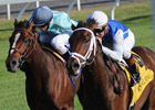 Interactif Sweeps to Impressive Bourbon Score