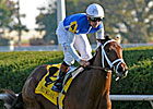 Interactif Favored in Tough Juvenile Turf
