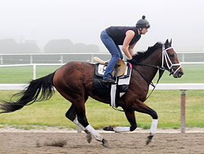 Belmont Doings: 'It's a Tote Board Race' Belmont Doings: 'It's a Tote Board Race'