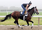 Belmont Doings: 'It's a Tote Board Race'