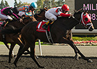 International Star Shines in Grey Stakes Win International Star Shines in Grey Stakes Win