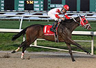 Risen Star Attracts Top Three From Lecomte Risen Star Attracts Top Three From Lecomte
