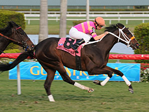 Smooth Run for In the Rough in Coconut Grove Smooth Run for In the Rough in Coconut Grove