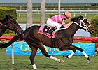 Smooth Run for In the Rough in Coconut Grove Smooth Run for In the Rough in Coconut Grove