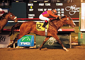 Three to Stand at Spendthrift Three to Stand at Spendthrift