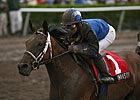 You Make the Call: The Donn 2001-2010