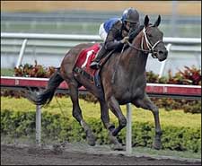 No Stopping Invasor in Donn Handicap No Stopping Invasor in Donn Handicap