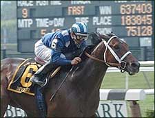 Super Horse Invasor Retired After Workout Injury Super Horse Invasor Retired After Workout Injury