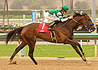 Consistent Iotapa Rewarded in Santa Maria Win Consistent Iotapa Rewarded in Santa Maria Win