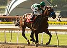 Front-Running Iotapa Has Vanity All Her Way Front-Running Iotapa Has Vanity All Her Way