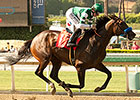 Clement Hirsch: Iotapa After BC Distaff Slot Clement Hirsch: Iotapa After BC Distaff Slot