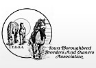 Online Stallion Season Auction Set for Iowa Online Stallion Season Auction Set for Iowa