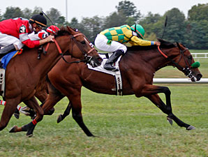 Ioya Bigtime Pays Off in KD Turf Cup Effort Ioya Bigtime Pays Off in KD Turf Cup Effort