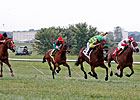 Kentucky Downs Completes Most Succesful Meet