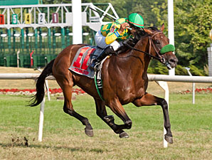 Ioya Bigtime Pays Off in Stars & Stripes Ioya Bigtime Pays Off in Stars & Stripes