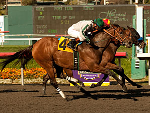 Irish Gypsy Gets A Gleam Victory by an Inch Irish Gypsy Gets A Gleam Victory by an Inch