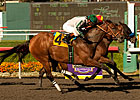 Irish Gypsy Gets A Gleam Victory by an Inch Irish Gypsy Gets A Gleam Victory by an Inch