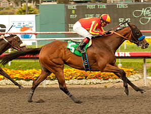 Baffert, Garcia Cap Big Day With Irish Gypsy Baffert, Garcia Cap Big Day With Irish Gypsy