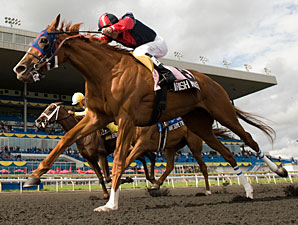 Improving Irish Mission Claims Woodbine Oaks Improving Irish Mission Claims Woodbine Oaks