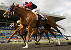 Improving Irish Mission Claims Woodbine Oaks