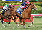 Irish Mission Keeps Racing, Wins The Very One Irish Mission Keeps Racing, Wins The Very One