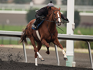 Beaugay, Fort Marcy Top Derby Bill at Belmont Beaugay, Fort Marcy Top Derby Bill at Belmont