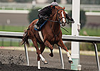 Beaugay, Fort Marcy Top Derby Bill at Belmont Beaugay, Fort Marcy Top Derby Bill at Belmont