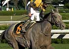 Breeders' Cup Focus: Irish Smoke Breeders' Cup Focus: Irish Smoke