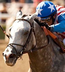 Baffert May Add Irrefutable to BC Brigade Baffert May Add Irrefutable to BC Brigade