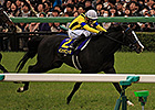 Determined Isla Bonita Wins Japanese Guineas Determined Isla Bonita Wins Japanese Guineas