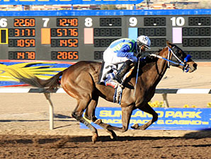 Asmussen Gets Isn't He Clever Asmussen Gets Isn't He Clever