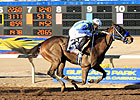 Asmussen Gets Isn't He Clever Asmussen Gets Isn't He Clever