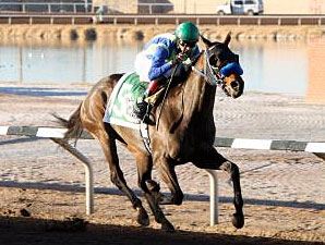 Isn't He Clever Favored in Borderland Derby Isn't He Clever Favored in Borderland Derby