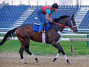 Older Horses Seek Graded Win in Toboggan