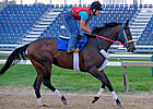 Older Horses Seek Graded Win in Toboggan