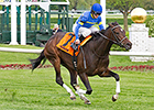 Istanford Beats the Boys in Arlington Classic Istanford Beats the Boys in Arlington Classic
