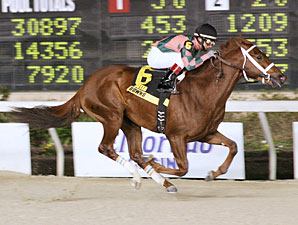 Shippers Dominate Canadian Derby Field Shippers Dominate Canadian Derby Field
