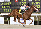 Shippers Dominate Canadian Derby Field Shippers Dominate Canadian Derby Field
