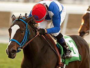 Megahertz Surprise: It Tiz What It Is Megahertz Surprise: It Tiz What It Is